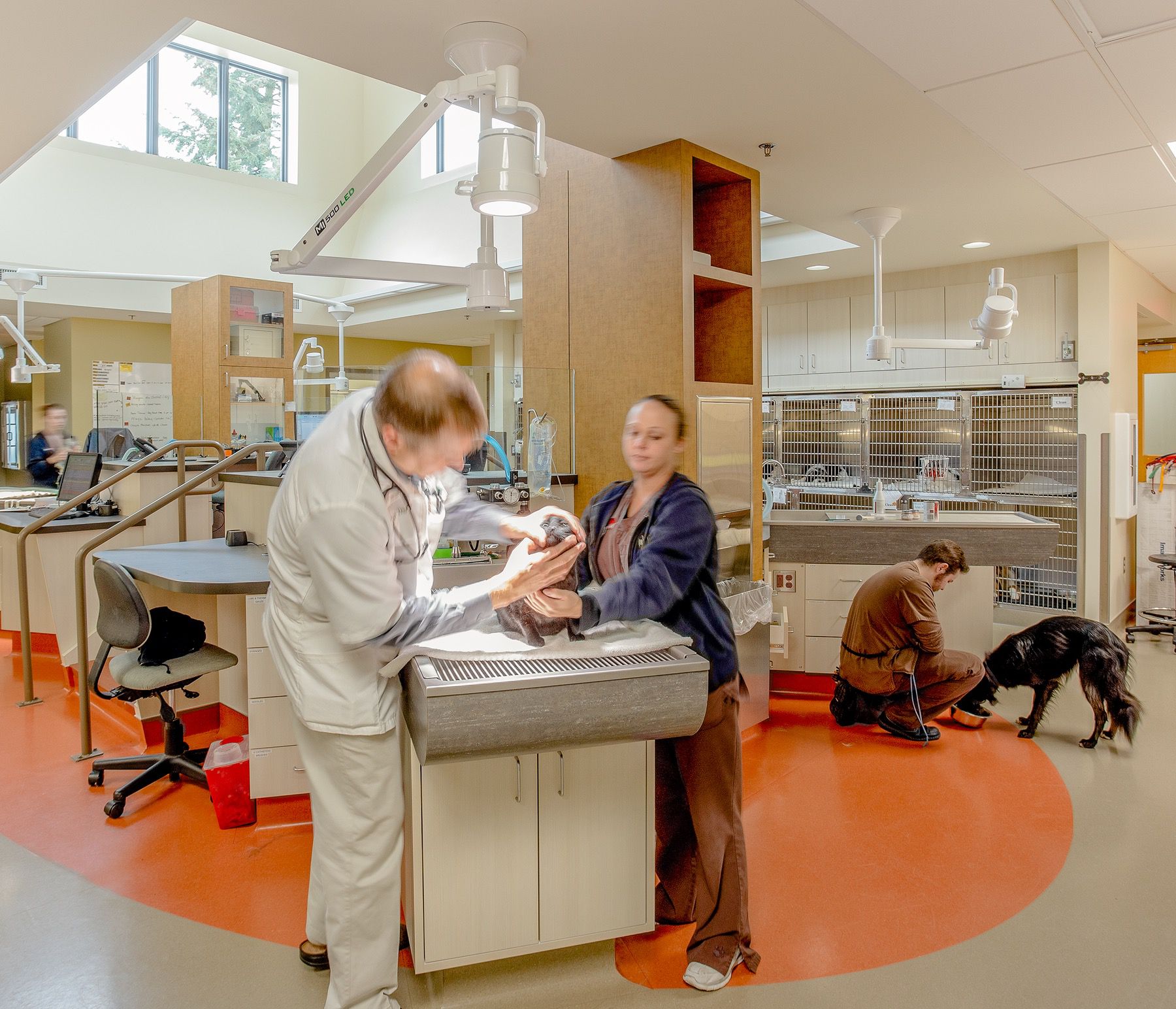 Parkway Veterinary Hospital R H Construction