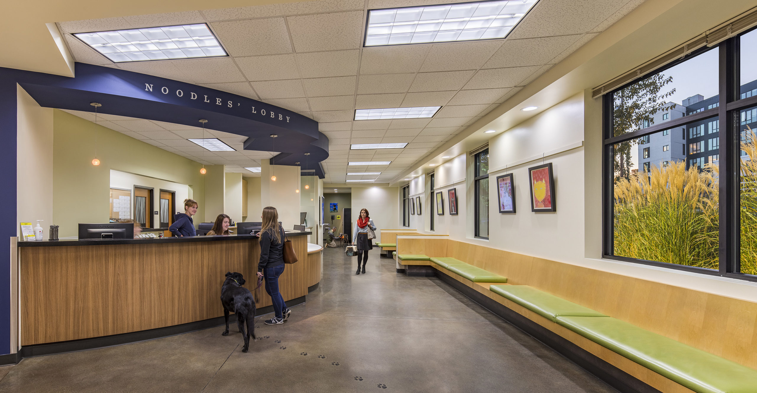 Dove Lewis interior lobby and check in desk with pet owners talking to reception