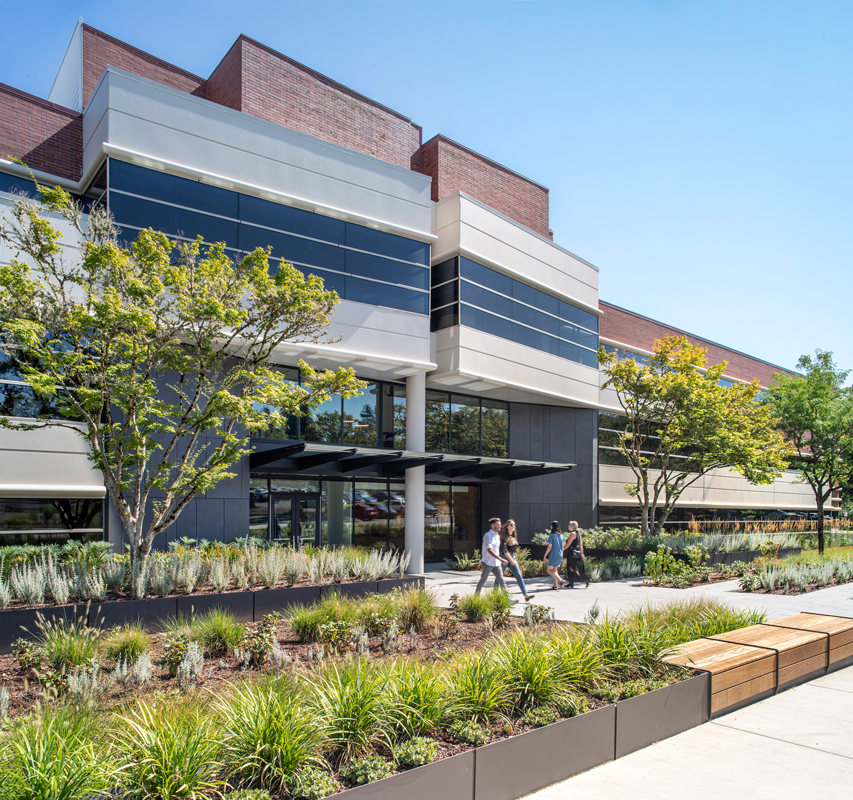 Corporate office building entry with shrubs, trees and bench planters